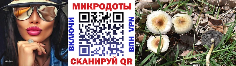 Псилоцибиновые грибы мухоморы  MEGA   Гурьевск 
