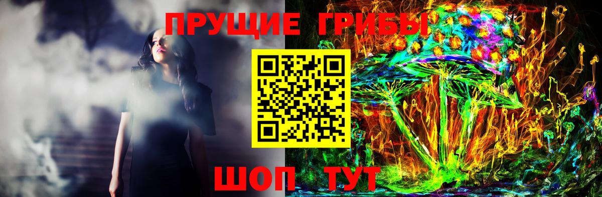 сколько стоит  Галлюциногенные грибы GOLDEN TEACHER  Вход с VPN  Галлюциногенные грибы мицелий  Гурьевск 