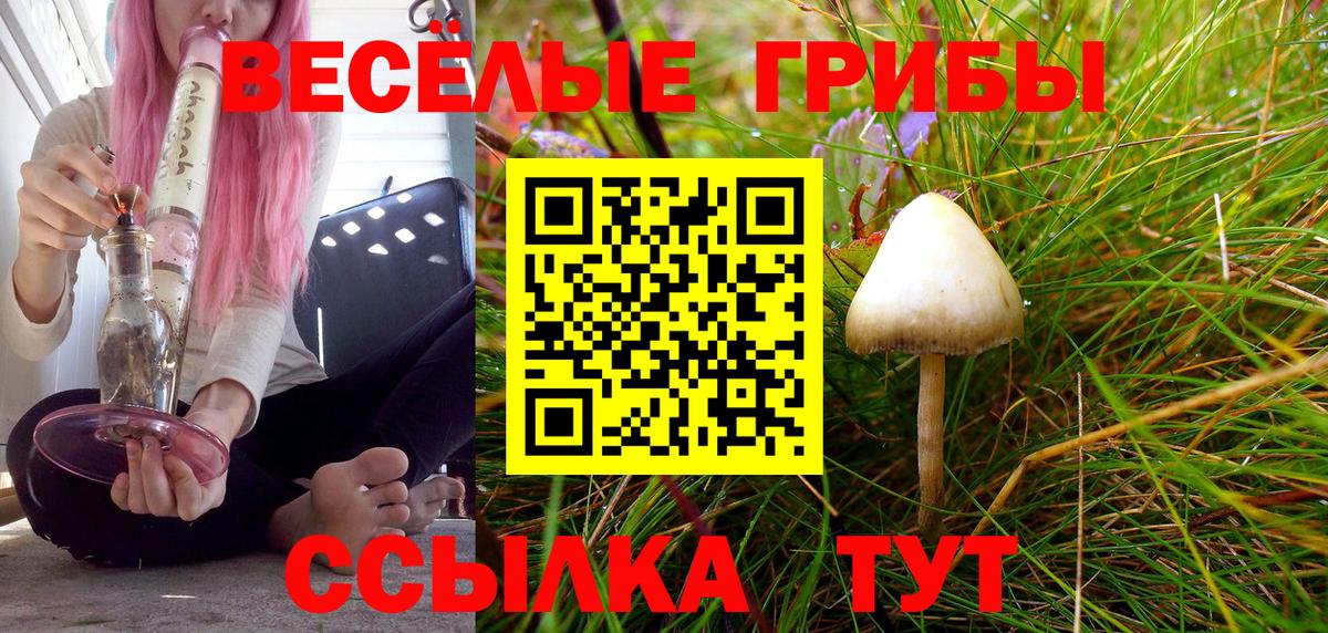 Галлюциногенные грибы MAGIC MUSHROOMS Гурьевск