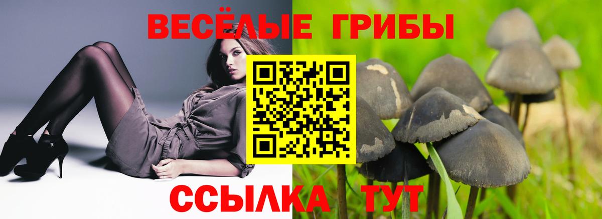 LSD-25 Гурьевск