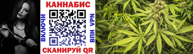 как найти закладки Гурьевск Марихуана гибрид